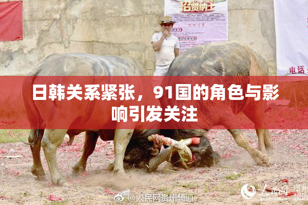 日韩关系紧张，91国的角色与影响引发关注