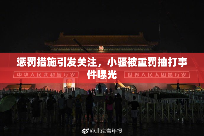 惩罚措施引发关注，小骚被重罚抽打事件曝光