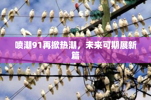 喷潮91再掀热潮，未来可期展新篇