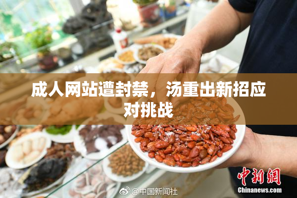 成人网站遭封禁，汤重出新招应对挑战