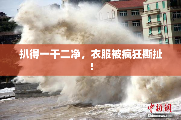 扒得一干二净，衣服被疯狂撕扯！