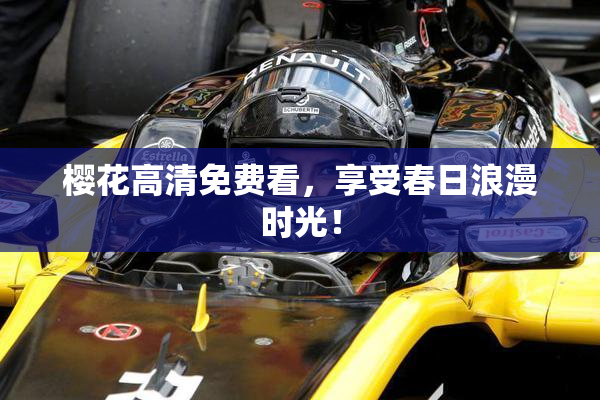 樱花高清免费看，享受春日浪漫时光！