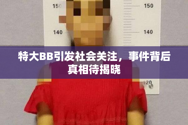 特大BB引发社会关注，事件背后真相待揭晓