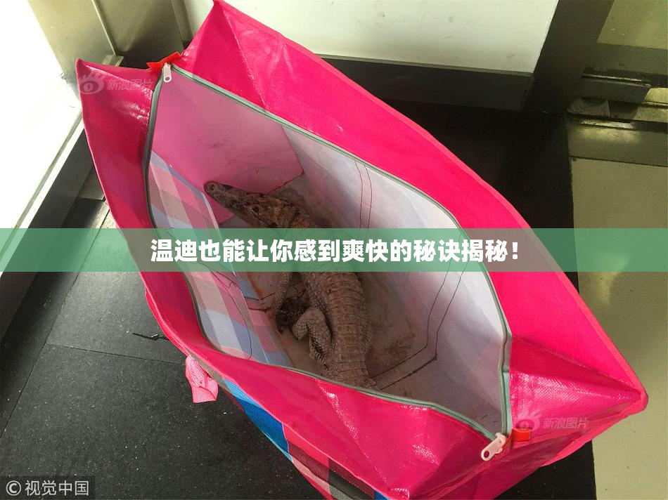 温迪也能让你感到爽快的秘诀揭秘！