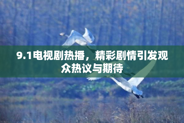 9.1电视剧热播，精彩剧情引发观众热议与期待