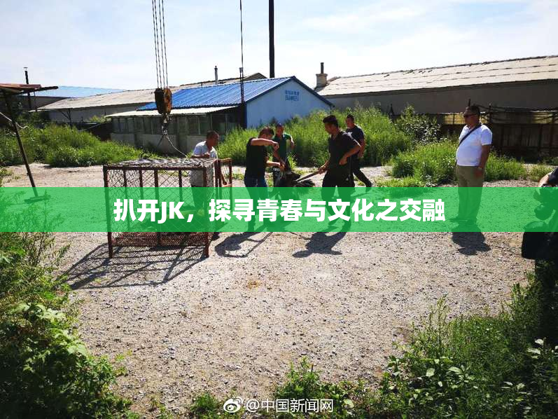 扒开JK，探寻青春与文化之交融