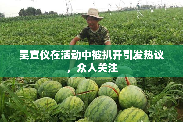 吴宣仪在活动中被扒开引发热议，众人关注
