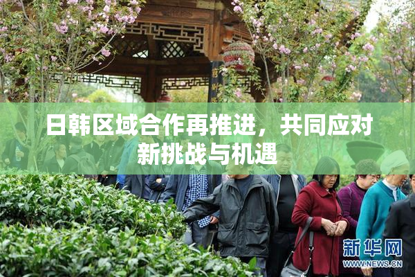 日韩区域合作再推进，共同应对新挑战与机遇
