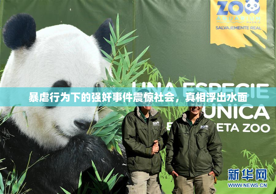 暴虐行为下的强奸事件震惊社会，真相浮出水面