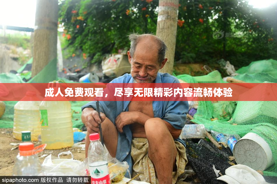 成人免费观看，尽享无限精彩内容流畅体验