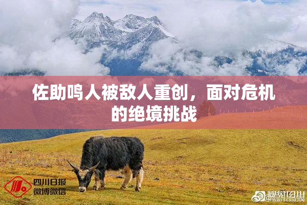 佐助鸣人被敌人重创，面对危机的绝境挑战