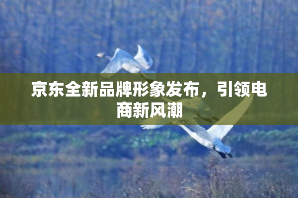 京东全新品牌形象发布，引领电商新风潮