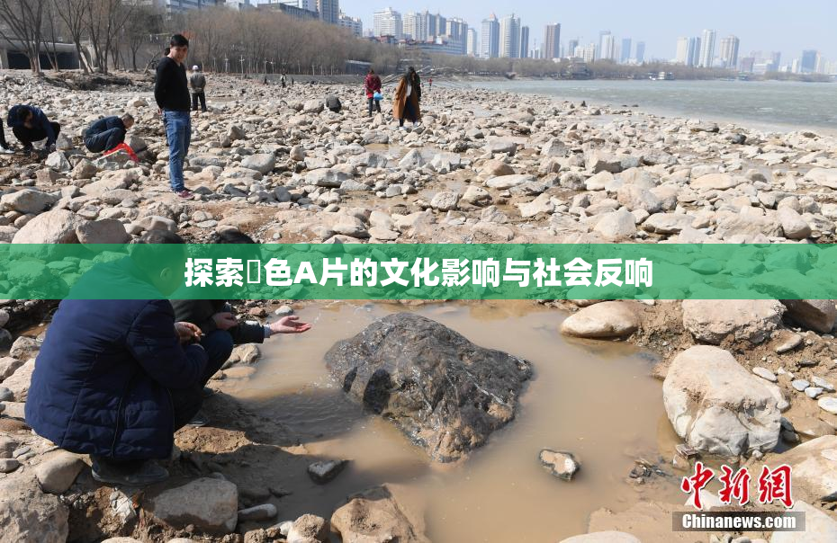 探索黃色A片的文化影响与社会反响