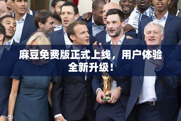 麻豆免费版正式上线，用户体验全新升级！