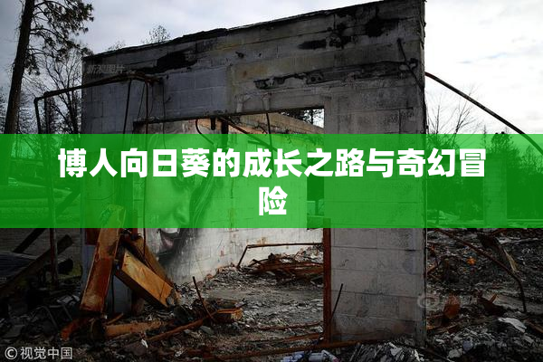 博人向日葵的成长之路与奇幻冒险