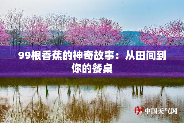 99根香蕉的神奇故事：从田间到你的餐桌
