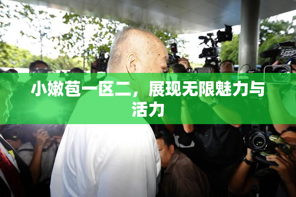 小嫩苞一区二，展现无限魅力与活力