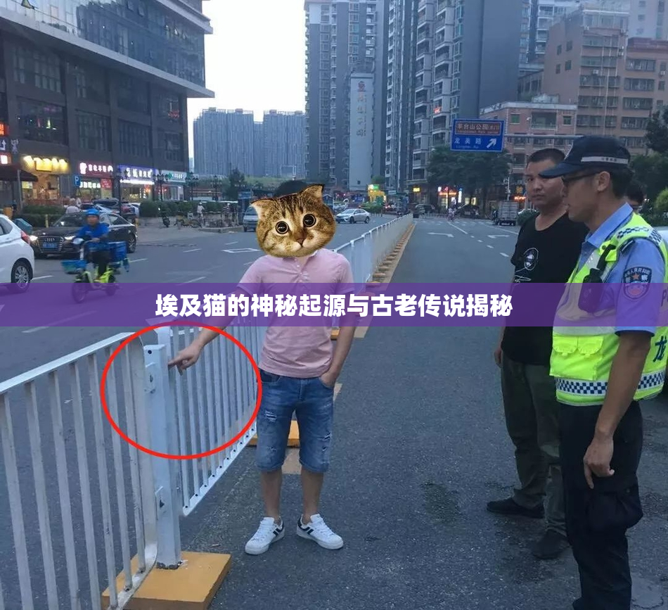 埃及猫的神秘起源与古老传说揭秘