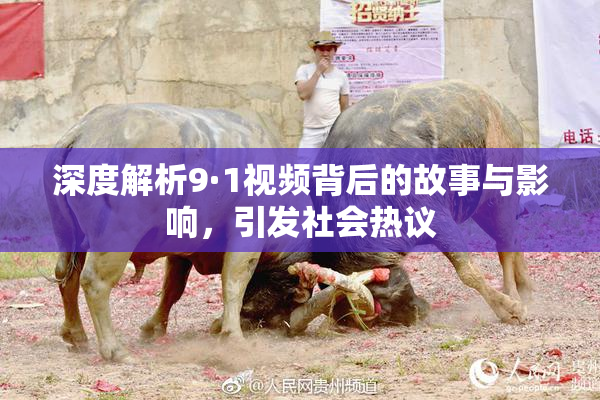 深度解析9·1视频背后的故事与影响，引发社会热议