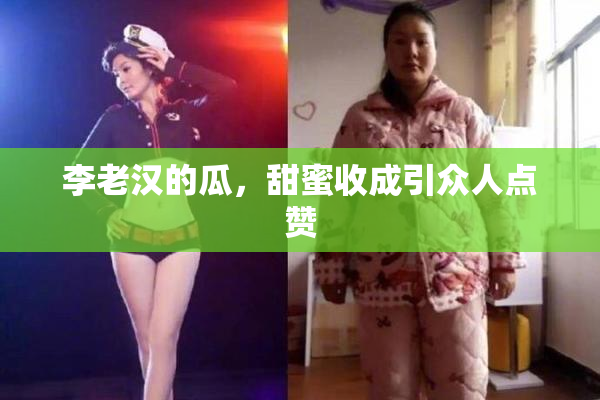 李老汉的瓜，甜蜜收成引众人点赞