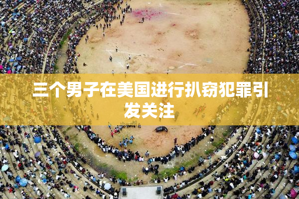 三个男子在美国进行扒窃犯罪引发关注