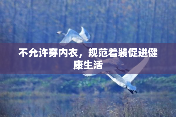 不允许穿内衣，规范着装促进健康生活