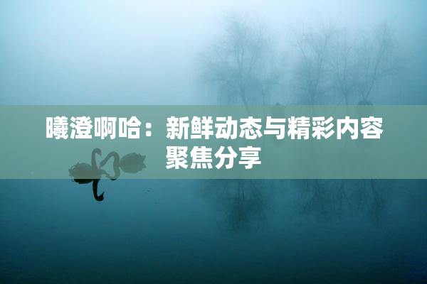 曦澄啊哈：新鲜动态与精彩内容聚焦分享