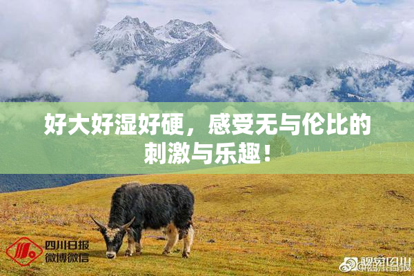 好大好湿好硬，感受无与伦比的刺激与乐趣！