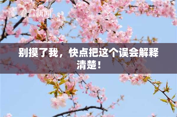 别摸了我，快点把这个误会解释清楚！