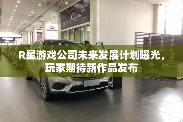 R星游戏公司未来发展计划曝光，玩家期待新作品发布