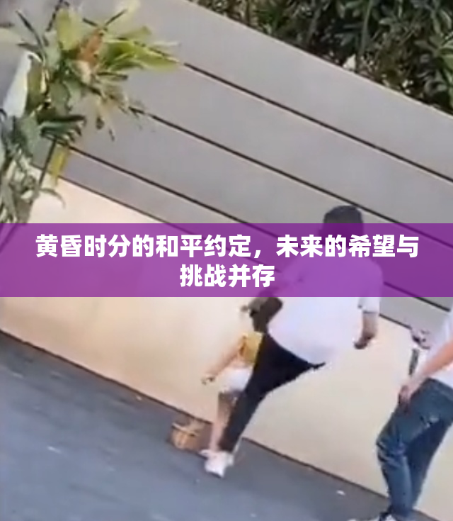 黄昏时分的和平约定，未来的希望与挑战并存