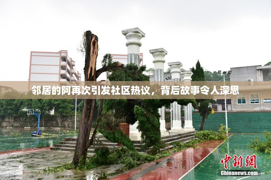 邻居的阿再次引发社区热议，背后故事令人深思
