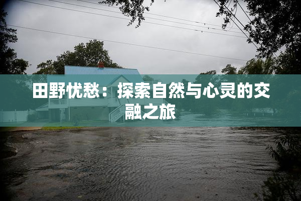 田野忧愁：探索自然与心灵的交融之旅