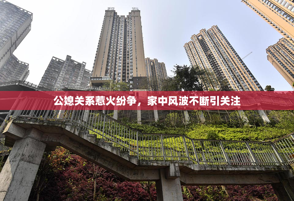 公媳关系惹火纷争，家中风波不断引关注