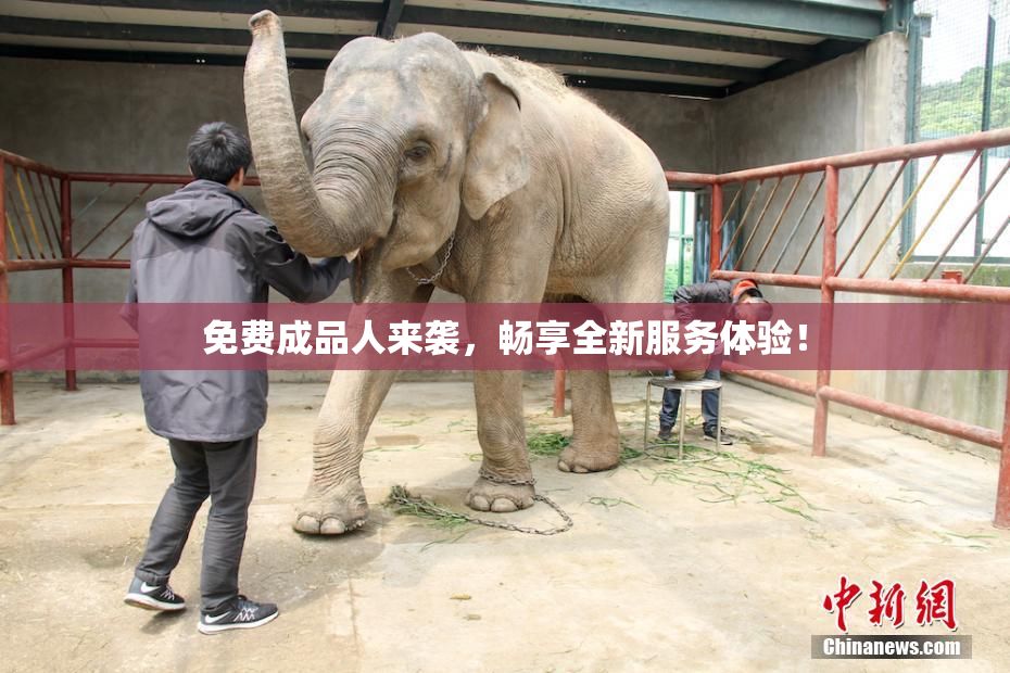 免费成品人来袭，畅享全新服务体验！