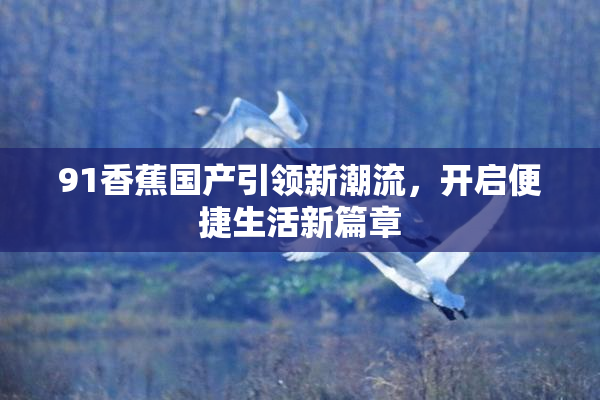 91香蕉国产引领新潮流，开启便捷生活新篇章