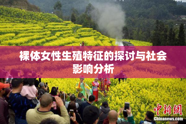 裸体女性生殖特征的探讨与社会影响分析