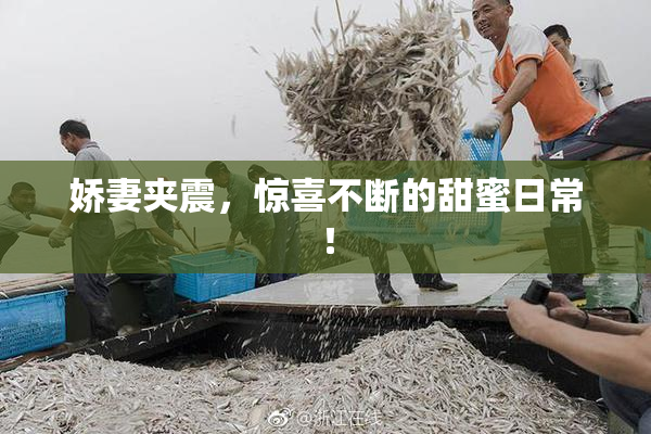 娇妻夹震，惊喜不断的甜蜜日常！