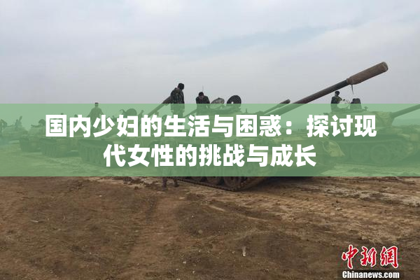 国内少妇的生活与困惑：探讨现代女性的挑战与成长