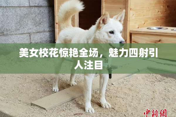 美女校花惊艳全场，魅力四射引人注目