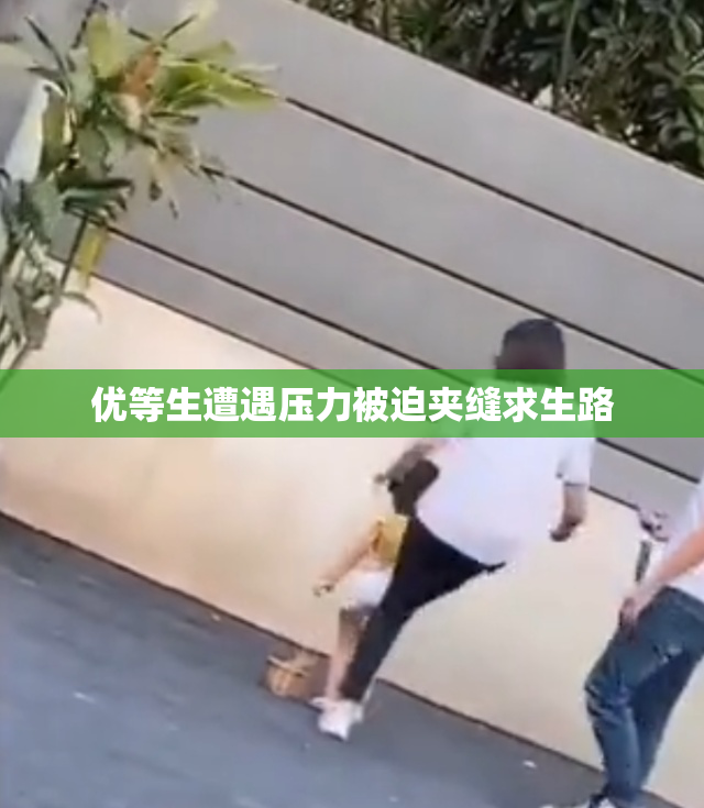 优等生遭遇压力被迫夹缝求生路