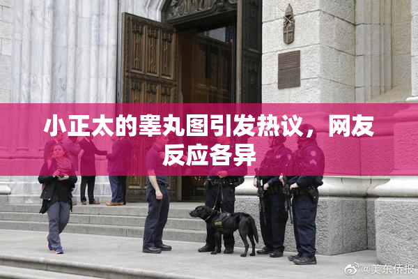 小正太的睾丸图引发热议，网友反应各异