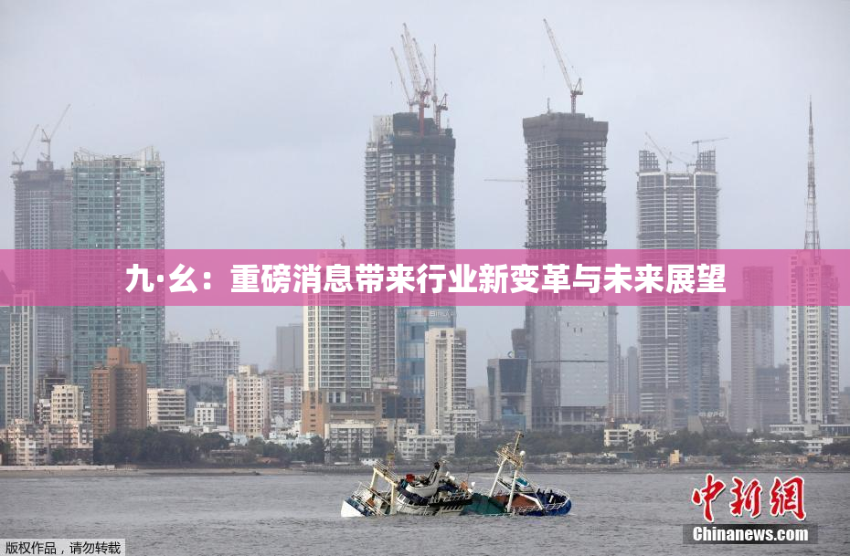 九·幺：重磅消息带来行业新变革与未来展望