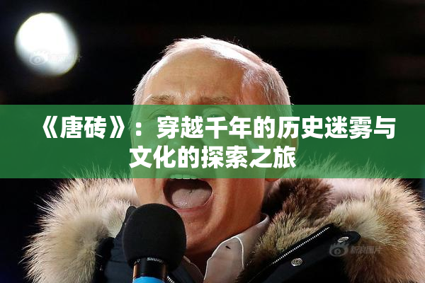 《唐砖》：穿越千年的历史迷雾与文化的探索之旅