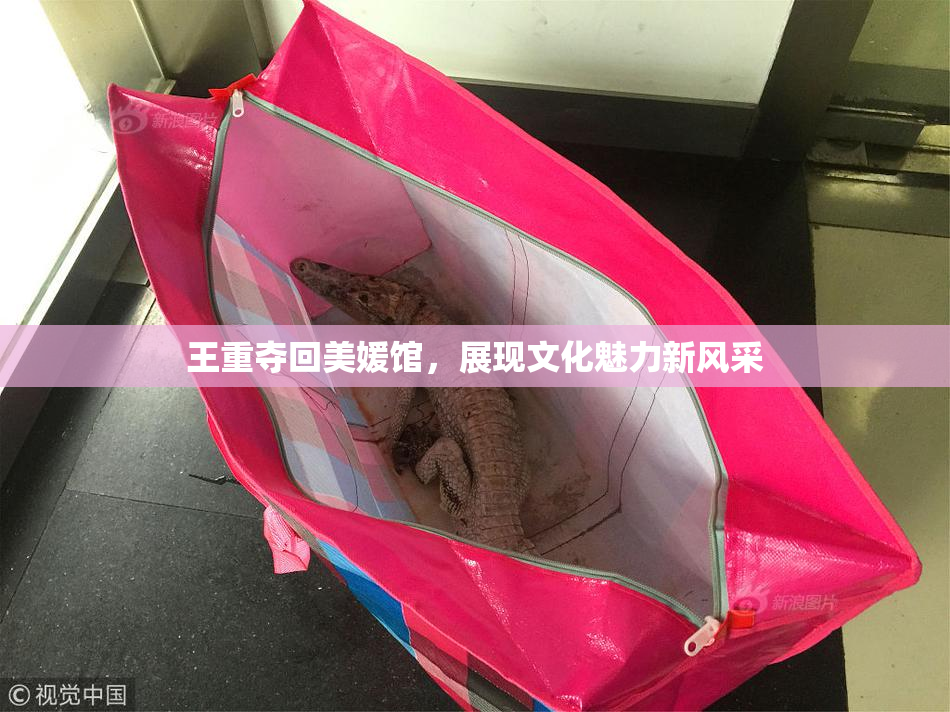 王重夺回美媛馆，展现文化魅力新风采