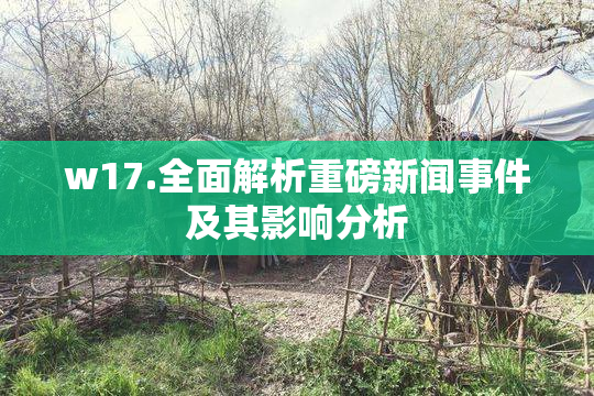 w17.全面解析重磅新闻事件及其影响分析