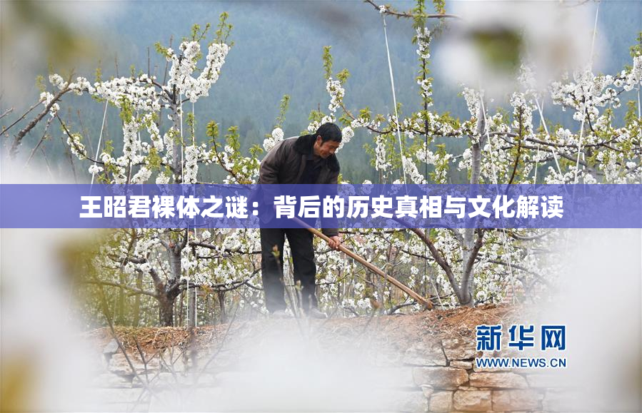 王昭君裸体之谜：背后的历史真相与文化解读