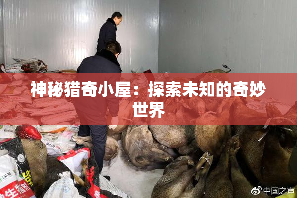 神秘猎奇小屋：探索未知的奇妙世界