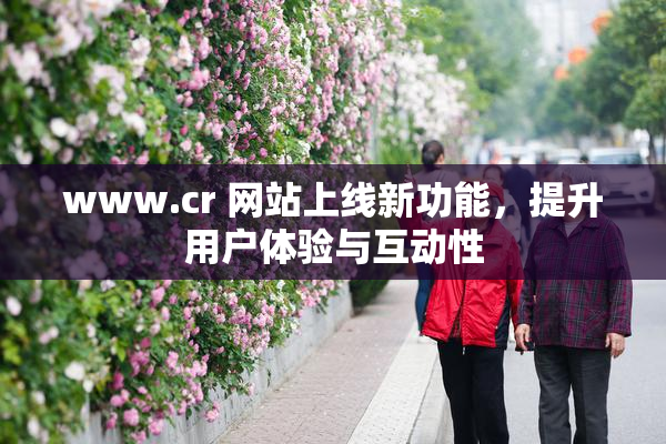 www.cr 网站上线新功能，提升用户体验与互动性