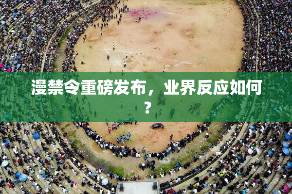 漫禁令重磅发布，业界反应如何？